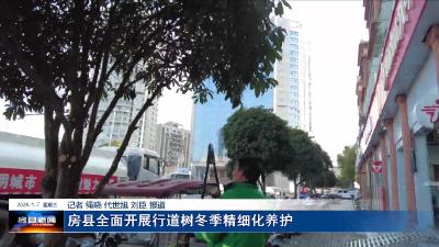 房县全面开展行道树冬季精细化养护