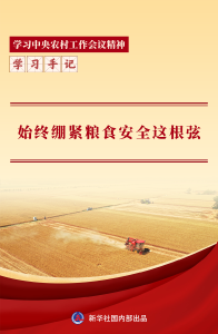 【讲习所·中国与世界】习近平用十二个字总结中爱关系-国际在线