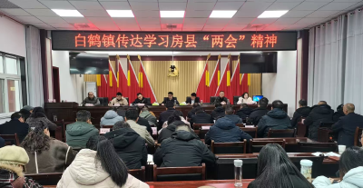 凝心聚力 真抓实干 奋力谱写“十五五”发展新篇章——白鹤镇：深入学习传达县两会精神