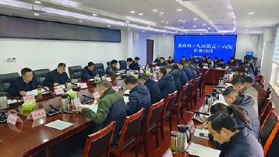 县政府第五十六次常务会议召开
