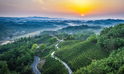 两座山，一条路！“闵黑子”的二十年“共富”笔记