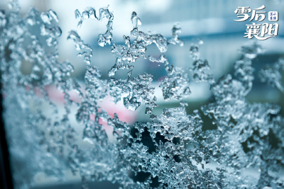 【冰雪春天】习言道｜推动冰雪运动、冰雪文化、冰雪装备、冰雪旅游全产业链发展