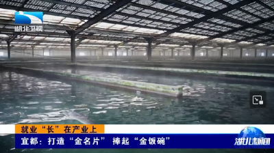 就业“长”在产业上 | 宜都：打造“金名片” 捧起“金饭碗”