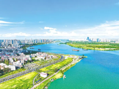 天生网感！襄阳，登顶热搜