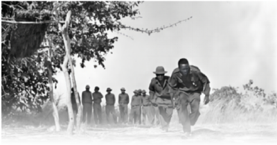 走过峥嵘岁月 共赴现代化新征程——习近平主席复信津巴布韦老战士寄语中非友好续写新篇