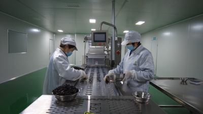 房县黄精的“增值密码”：古法技艺+现代车间，小药材做成大集群