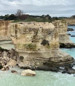 看图学习·热气腾腾的中国年丨从总书记的社区行 读懂“民生无小事 枝叶总关情”
