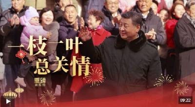 灯耀“两马”映同心 两岸同胞共赏新春花灯