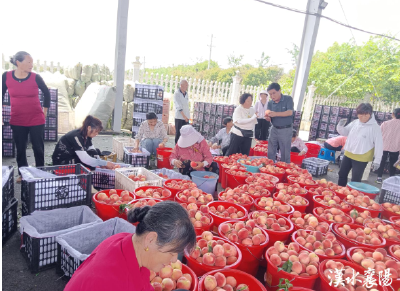 襄阳这两份“民生账单”，藏着最朴实的幸福