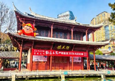 独家视频丨习近平向全国各族人民致以新春祝福