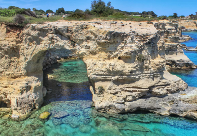 学习·知行丨这项战略任务，总书记强调“道不变、志不改”