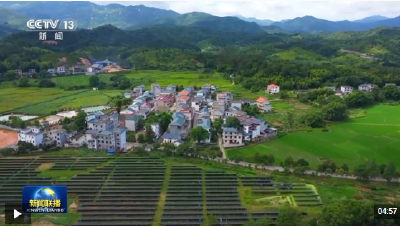 情满中国年丨绘就宜居宜业和美乡村新画卷