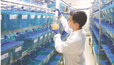 新春走基层｜春节科研忙，支点建设劲头足