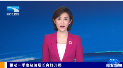 推动一季度经济增长良好开局 | 百亿级项目加速推进 全力冲刺“世界光谷”