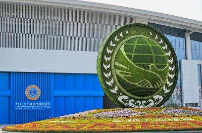 特稿丨风云激荡展担当——2026开年中国元首外交回眸