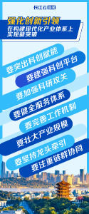 一文读懂丨湖北“新春第一会”：七个“强化” 定调2026！