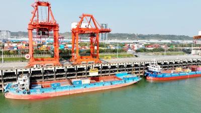 时政微周刊丨总书记的一周（2月2日—2月8日）