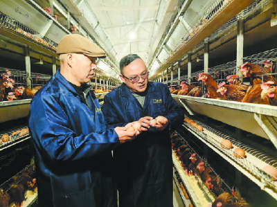 村小气场不小 干群齐心“筑巢”五十六家企业“扎堆”落户雷家坪