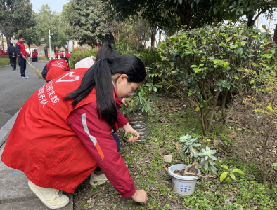 房县天明小学：当“志愿红”遇上“生态绿”  小雷锋护绿 正当时