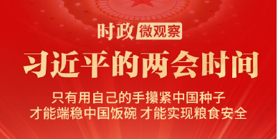 习近平的两会时间丨“搞农业要把种业搞上去”