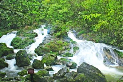 “一叶轻舟”万重山