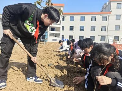 房县四中：师生携手添新绿   校园花坛焕生机