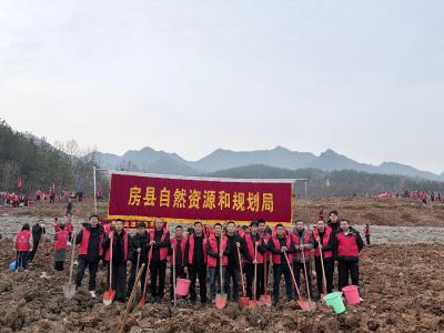  房县自然资源和规划局开展2026年全民义务植树活动