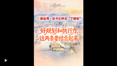 壹视界·总书记两会“下团组”丨好规划和执行力，这两条要结合起来