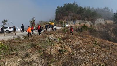 青峰镇：春风植绿添新景 共建生态美家园