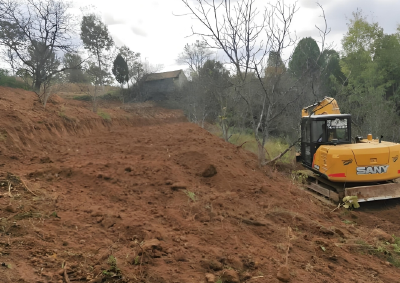 青峰镇：扛牢耕地保护之责 夯实粮食安全基石