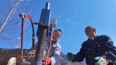 房县：50万棒椴木香菇 激活乡村经济“一池春水”