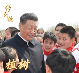 传习录丨种下的是树苗，也是祖国的美好未来