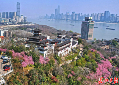 武汉这场大会，有三个不同！让长江中游的美好被世界看见