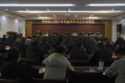 青峰镇：防患未“燃”密织清明防火“安全网”