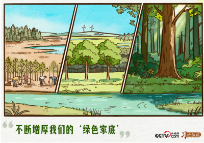 天天学习｜不断增厚我们的“绿色家底”