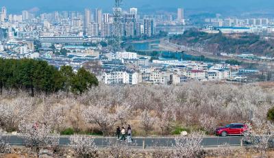 那盏等我回家的灯