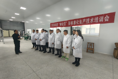 亲手做、亲口品！ 房县“神农贡”茶标准化培训让技艺落地生根