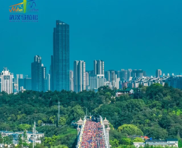 “造血”与“共治” 探寻城市更新的“内生之路”