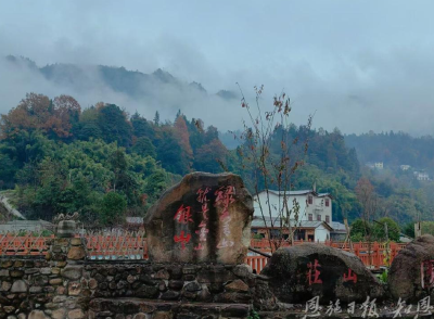 茶山上的亲戚们