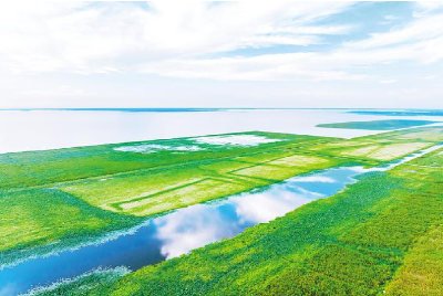 连续9年履职，她把荆州声音带上全国两会