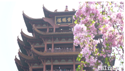 刷屏了！这个周末，湖北的春天彻底藏不住了