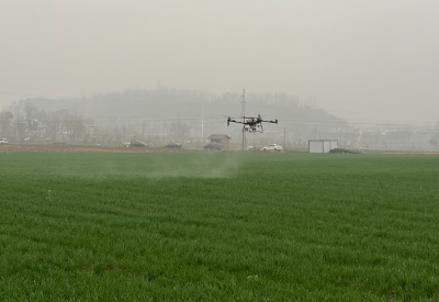 军店镇：抢抓农时忙春管 科技护航保丰产