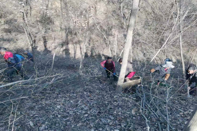 城关镇“四举措”筑牢清明森林防火“安全墙”