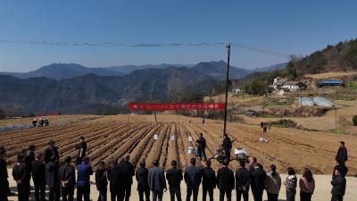 青峰镇：田间送技传经验 烟叶生产启新程