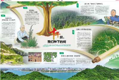 十年前，我们种下的树——这抹跨越时光的绿是对保护长江的铿锵回答