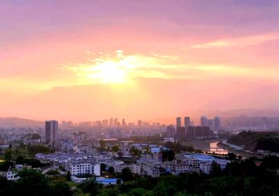 以“玉露”之名成长