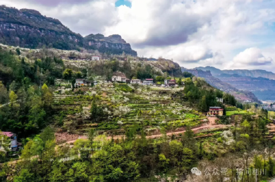 打卡“千亩李花雪”，遇见利川最美的春天