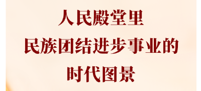 两会第一观察 | 人民殿堂里，民族团结进步事业的时代图景
