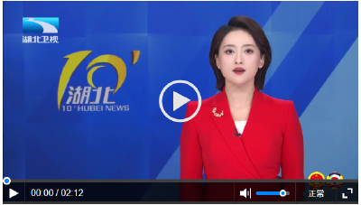 代表委员说 | 以法治之力 固发展之基