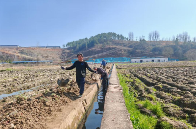 红塔镇：抢抓春修黄金期  筑渠引水润民心